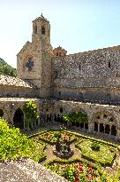 Illustration - Cathares