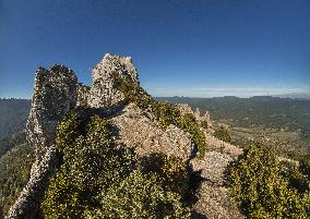 Illustration - Cathares