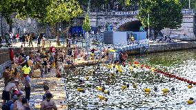 Illustration - Swimming in the Seine - Paris