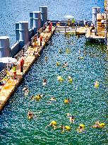 Illustration - Swimming in the Seine - Paris