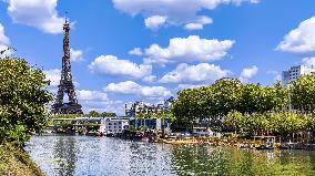 Illustration - Swimming in the Seine - Paris