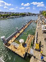 Illustration - Swimming in the Seine - Paris