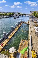 Illustration - Swimming in the Seine - Paris