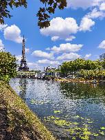 Illustration - Swimming in the Seine - Paris