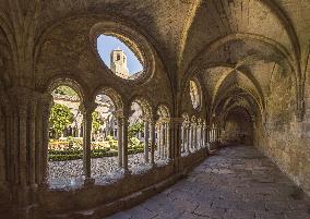 Illustration - Cathares