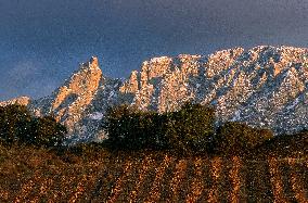 Illustration - Cathares