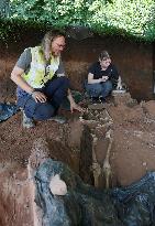 Nearly 80 skeletons discovered in central Tartu