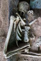 Nearly 80 skeletons discovered in central Tartu