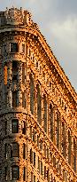 Illustration - New York City - NYC