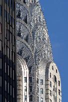 Illustration - New York City - NYC