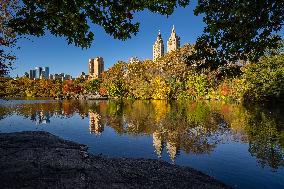 Illustration - New York City - NYC