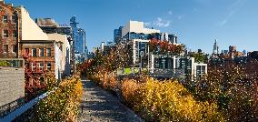 Illustration - New York City - NYC
