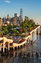 Illustration - New York City - NYC