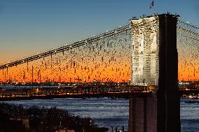 Illustration - New York City - NYC