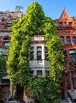 Illustration - New York City - NYC
