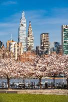 Illustration - New York City - NYC