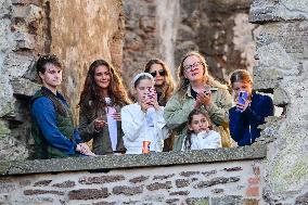 LALEH BORGHOLM ROYALS