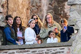 LALEH BORGHOLM ROYALS