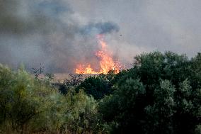 Forest Fire in Méntrida Upgraded to Level 2 - Spain