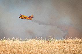 Forest Fire in Méntrida Upgraded to Level 2 - Spain