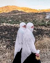 Israeli Druze Cross into Syria After Reported Massacre - Israel