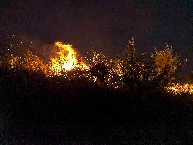 Israeli Druze Cross into Syria After Reported Massacre - Israel