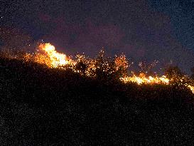 Israeli Druze Cross into Syria After Reported Massacre - Israel
