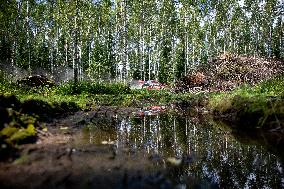 Rally Estonia
