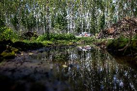 Rally Estonia