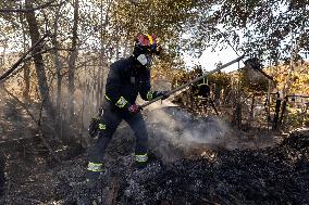 Fire in Mentrida Contained After Burning 3,100 Hectares - Spain