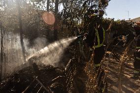 Fire in Mentrida Contained After Burning 3,100 Hectares - Spain