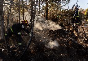 Fire in Mentrida Contained After Burning 3,100 Hectares - Spain