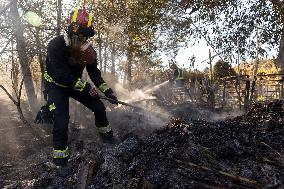 Fire in Mentrida Contained After Burning 3,100 Hectares - Spain
