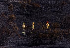 Fire in Mentrida Contained After Burning 3,100 Hectares - Spain