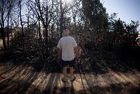 Fire in Mentrida Contained After Burning 3,100 Hectares - Spain
