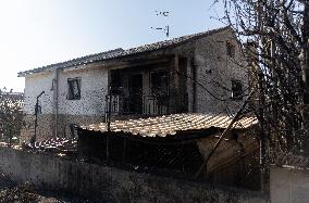 Fire in Mentrida Contained After Burning 3,100 Hectares - Spain