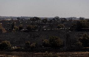 Fire in Mentrida Contained After Burning 3,100 Hectares - Spain