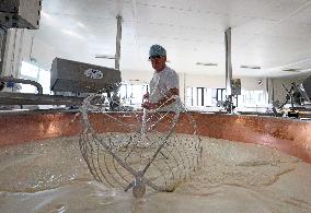 Parmigiano Reggiano from Parma - Italy