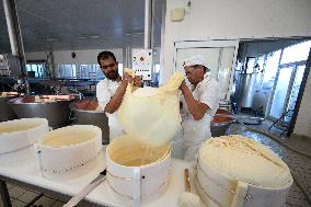 Parmigiano Reggiano from Parma - Italy