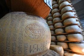 Parmigiano Reggiano from Parma - Italy
