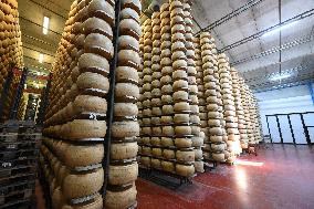Parmigiano Reggiano from Parma - Italy