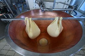 Parmigiano Reggiano from Parma - Italy