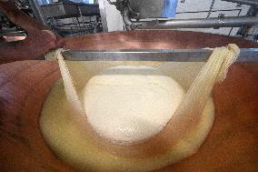 Parmigiano Reggiano from Parma - Italy