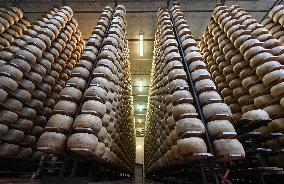 Parmigiano Reggiano from Parma - Italy