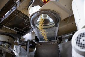 Annie Genevard Visits Panzani Plant - France