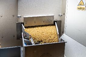 Annie Genevard Visits Panzani Plant - France