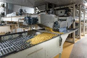 Annie Genevard Visits Panzani Plant - France