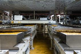 Annie Genevard Visits Panzani Plant - France