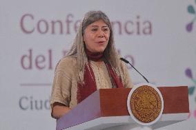 President Claudia Sheinbaum Holds Briefing - Mexico