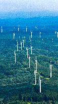 Wind Power Base in Harbin